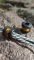 Намистина на темляк карбон ультем 11